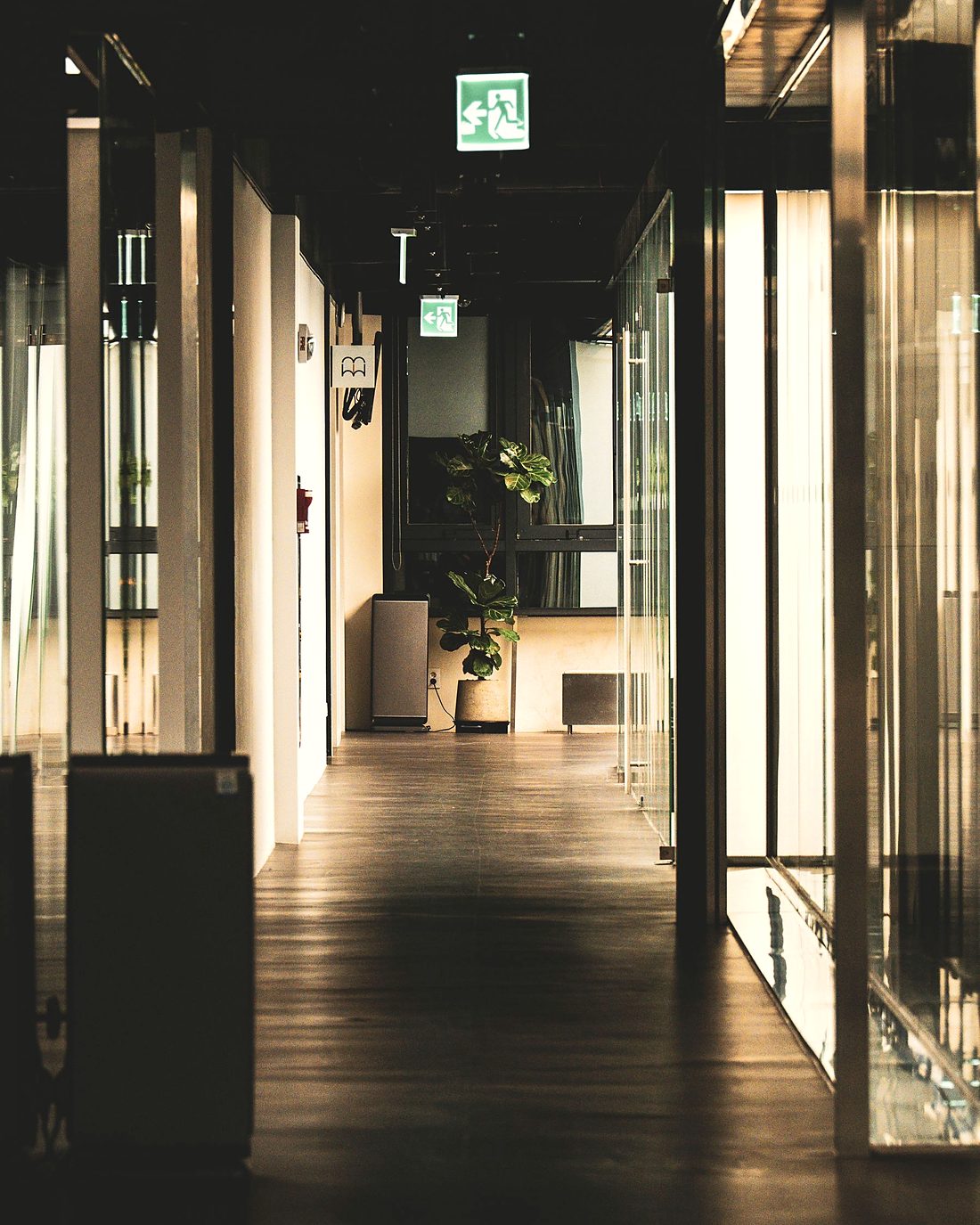Warmly lit corridor in a modern office building